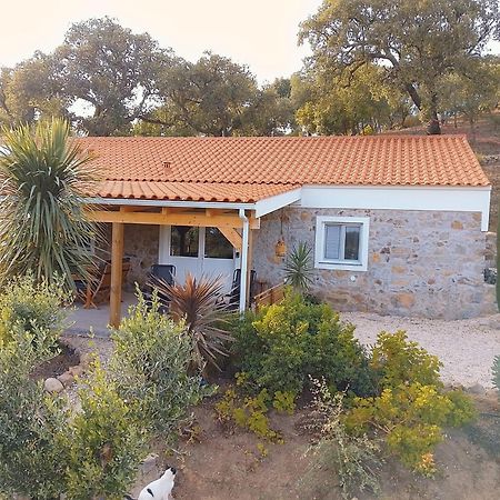 Вилла Casa De Celebrar A Vida Моншики Экстерьер фото